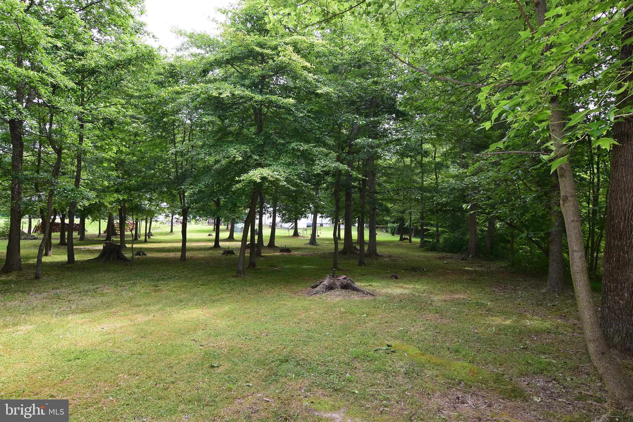 486 Dogtown Road Townsend, DE 19734 - Photo 43 of 44