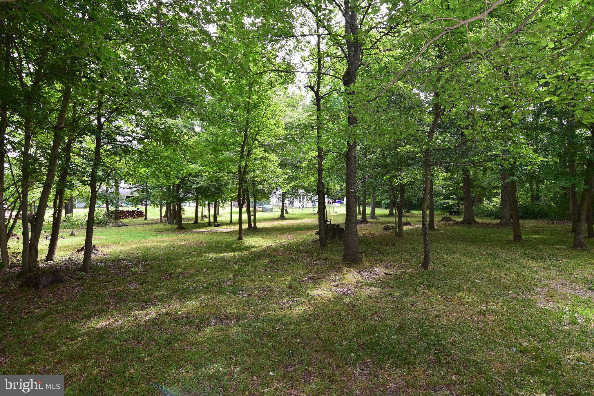 486 Dogtown Road Townsend, DE 19734 - Photo 44 of 44