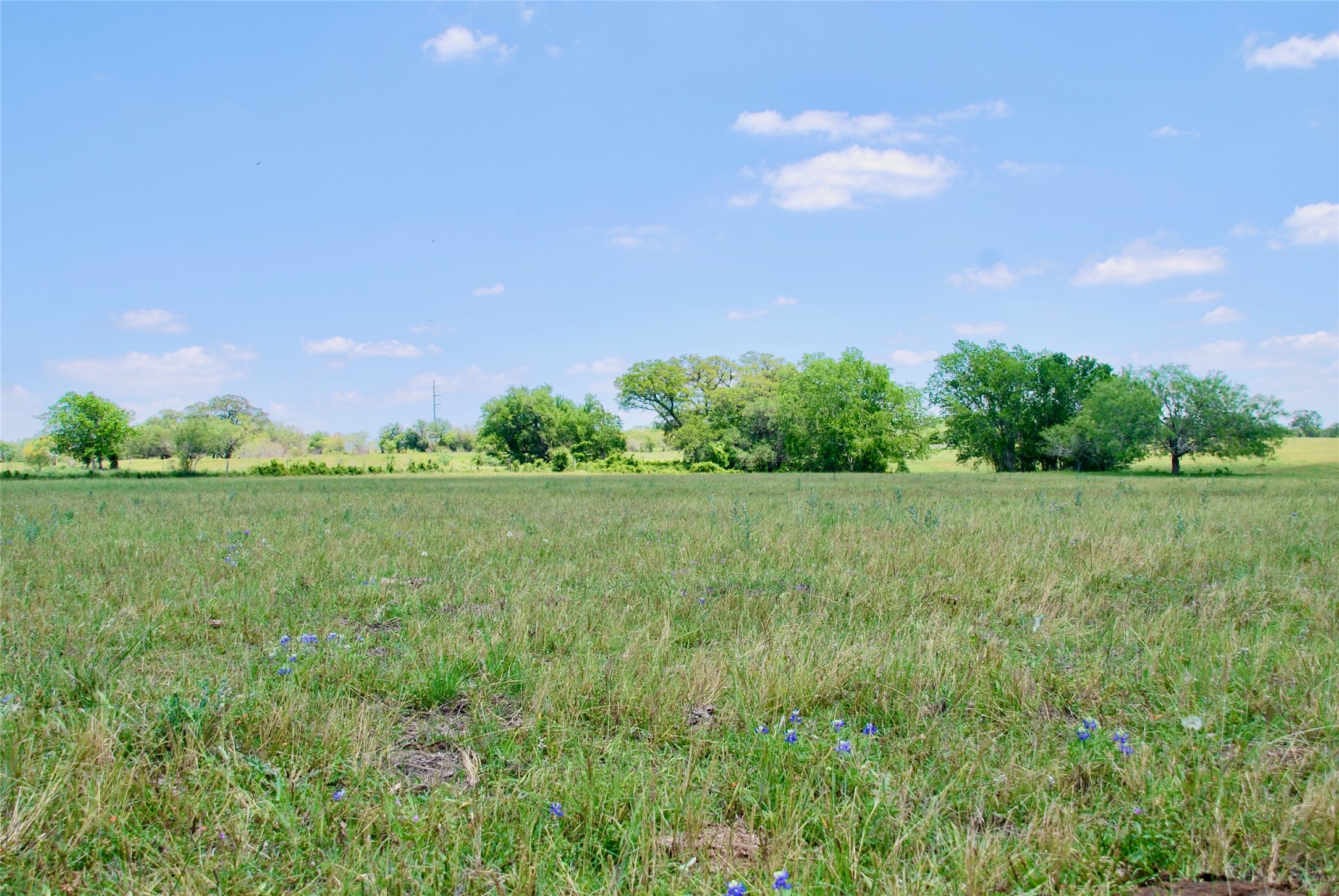 2072 Langdon Road Weimar, TX 78962 - Photo 3 of 18
