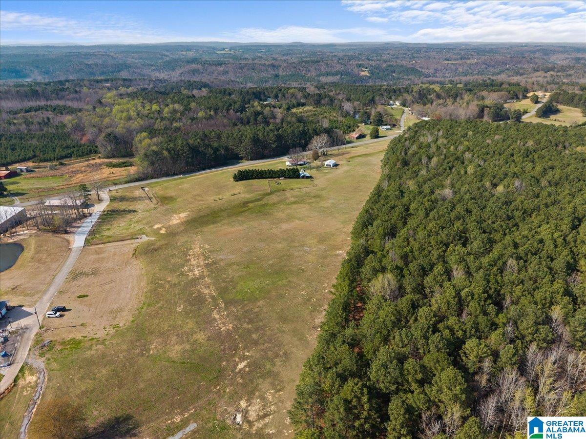 5743 County Highway 27 Springville, AL 35146 - Photo 19 of 46