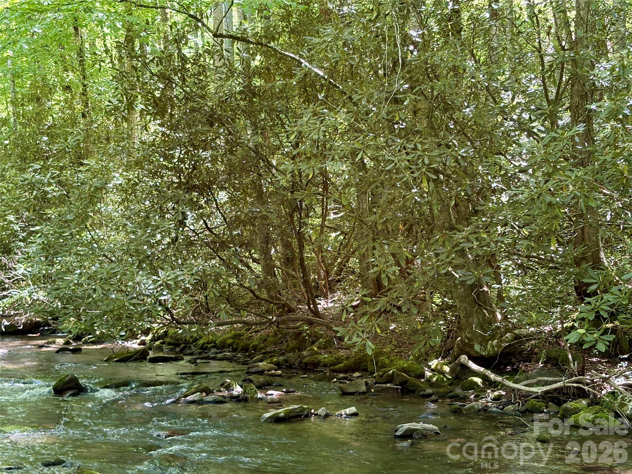 0 Timber Estates Road, Unit 11 Bryson City, NC 28713 - Photo 2 of 3