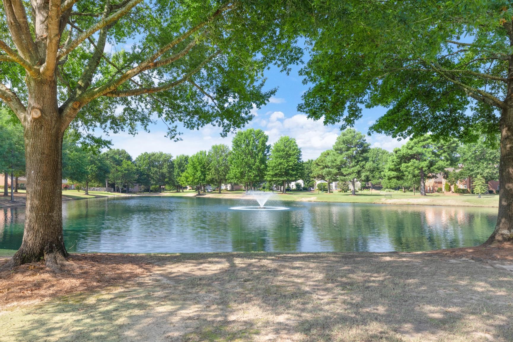 1893 Hartwell Manor West Collierville, TN 38017 - Photo 37 of 40 a view of a lake in a forest