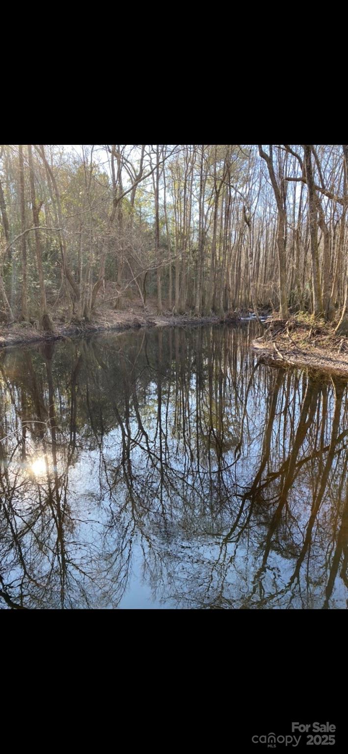212 Johnson Park Road Chesterfield, SC 29709 - Photo 25 of 48