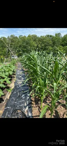 $349,900 | 212 Johnson Park Road, Chesterfield, SC 29709