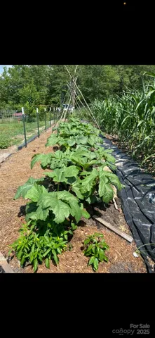 $349,900 | 212 Johnson Park Road, Chesterfield, SC 29709