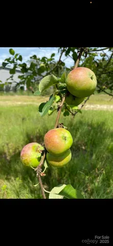 $349,900 | 212 Johnson Park Road, Chesterfield, SC 29709