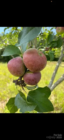 $349,900 | 212 Johnson Park Road, Chesterfield, SC 29709