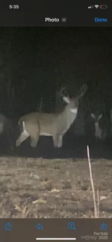 $349,900 | 212 Johnson Park Road, Chesterfield, SC 29709