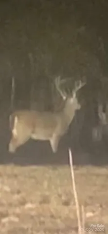 $349,900 | 212 Johnson Park Road, Chesterfield, SC 29709