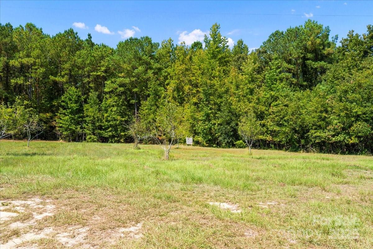 212 Johnson Park Road Chesterfield, SC 29709 - Photo 46 of 48