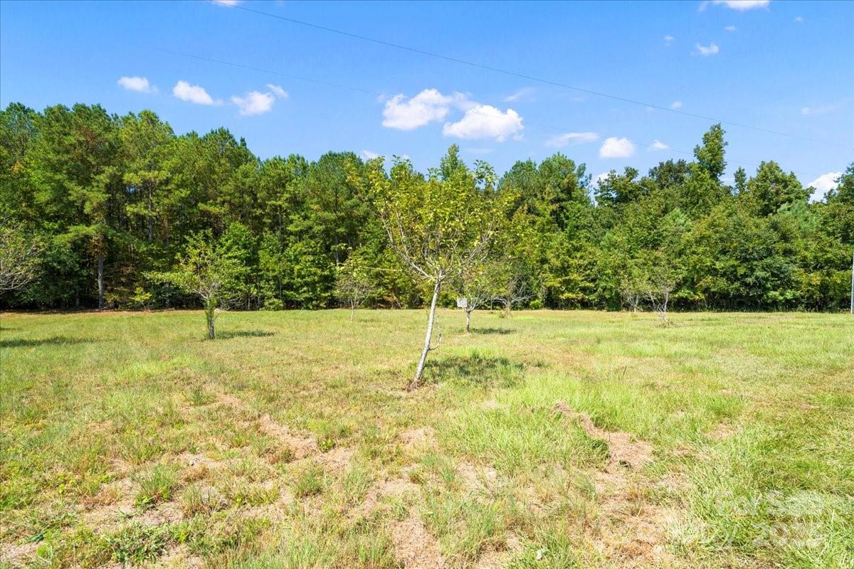 212 Johnson Park Road Chesterfield, SC 29709 - Photo 47 of 48