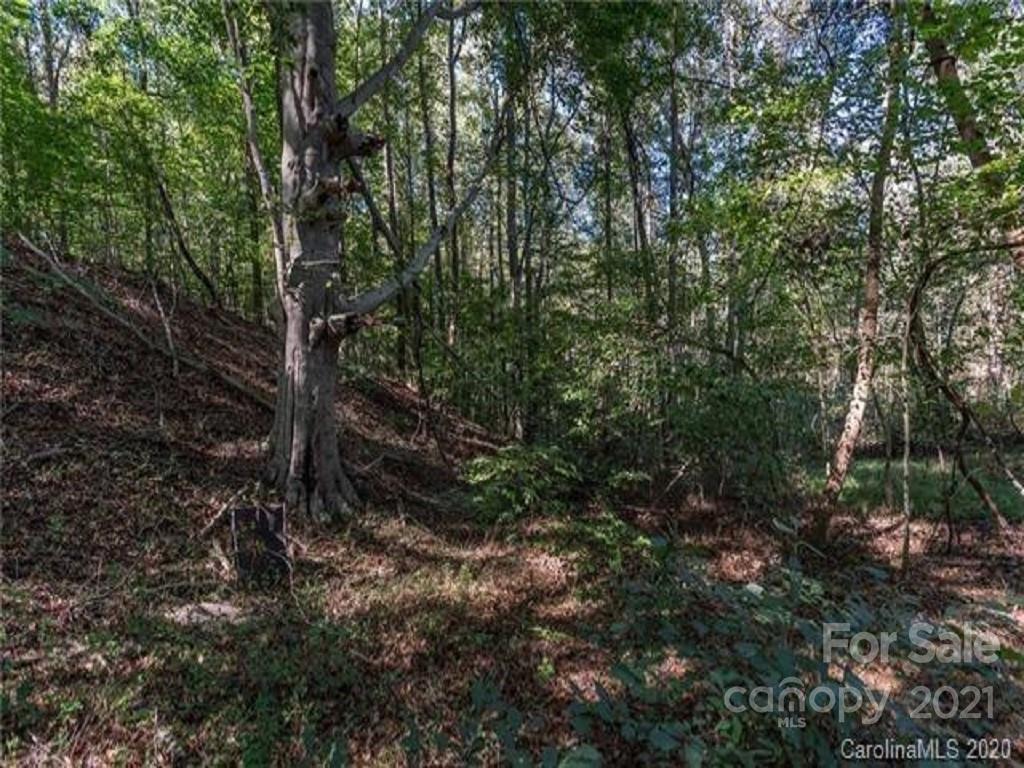 15310 Mac Wood Road Huntersville, NC 28078 - Photo 3 of 16 Gallery Image 3