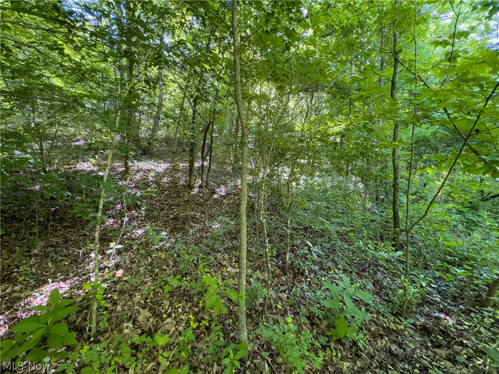 0 Jake Road Patriot, OH 45658 - Photo 12 of 15