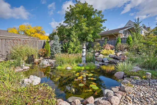 a picture of flowers