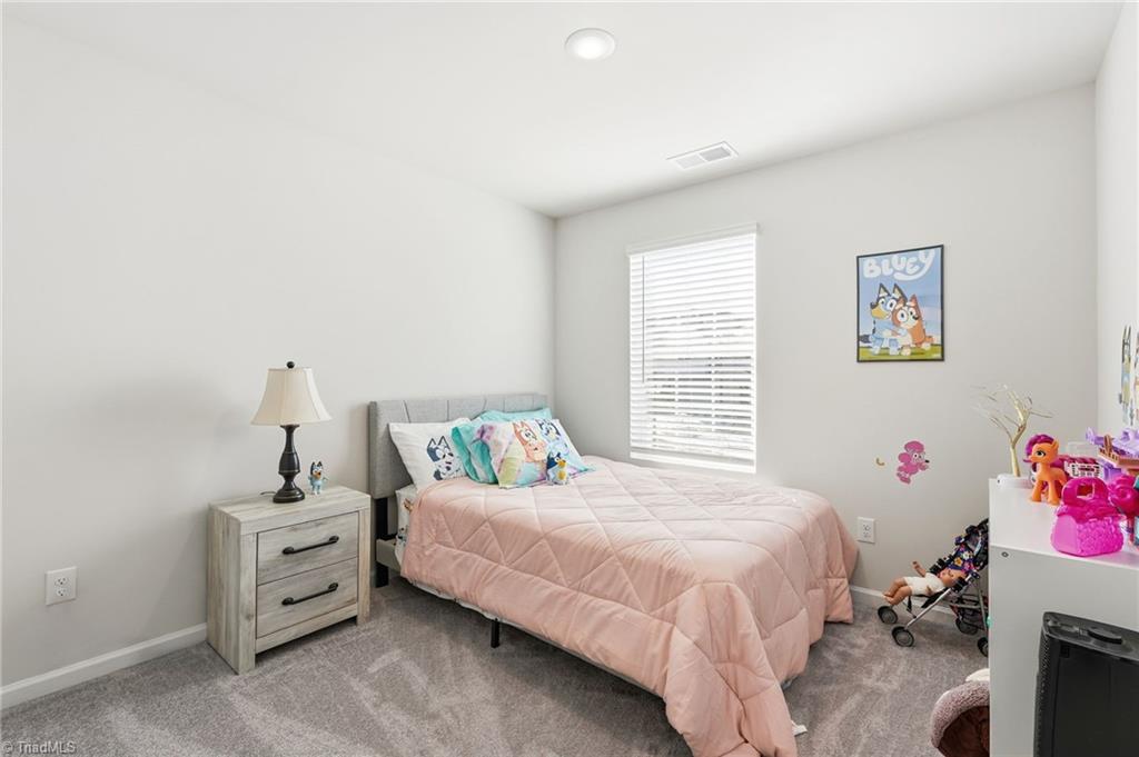 2949 Legacy Rdg Lane Catawba, NC 28609 - Photo 29 of 42