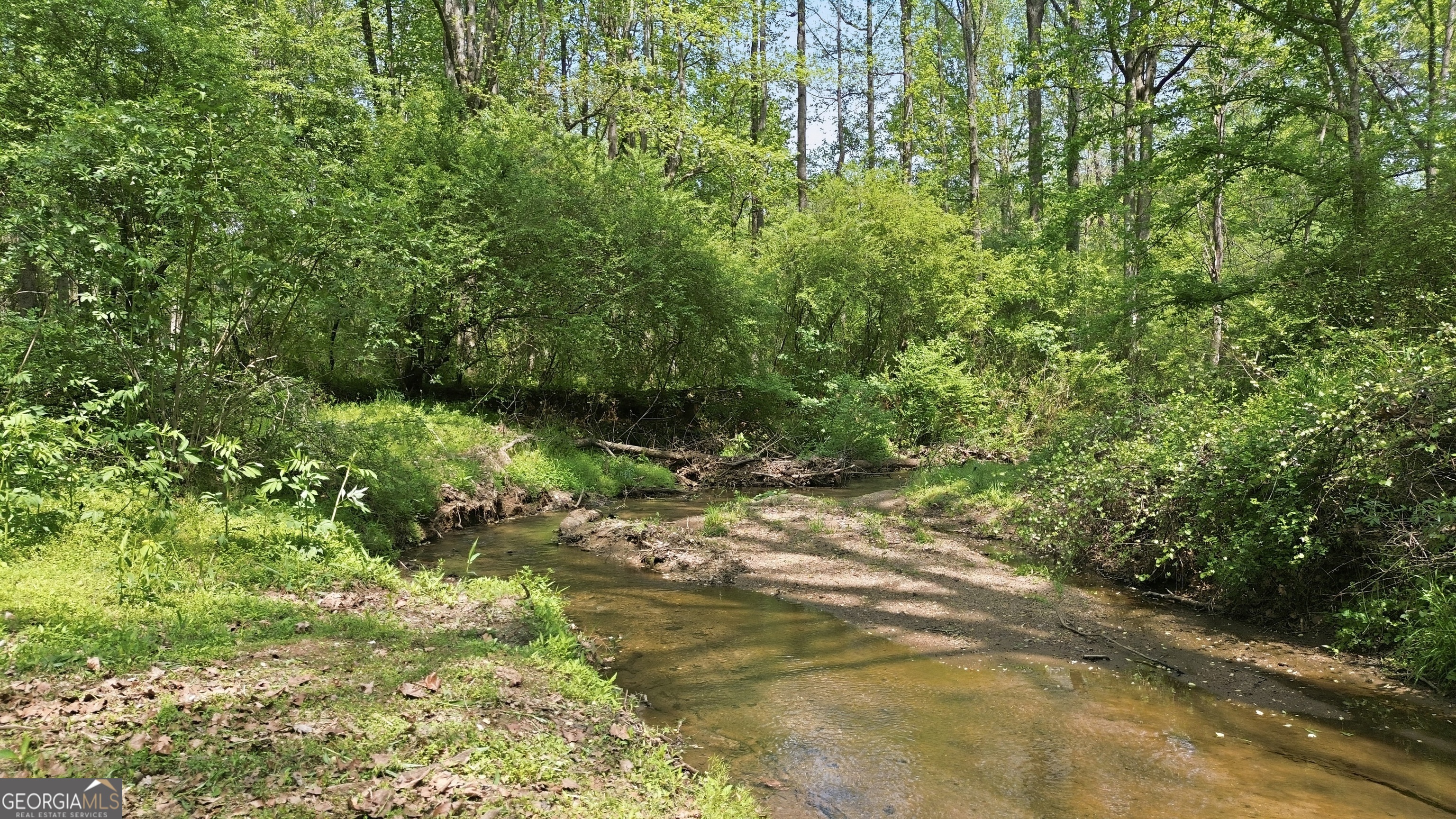 1601 Price Road Martin, GA 30557 - Photo 77 of 99