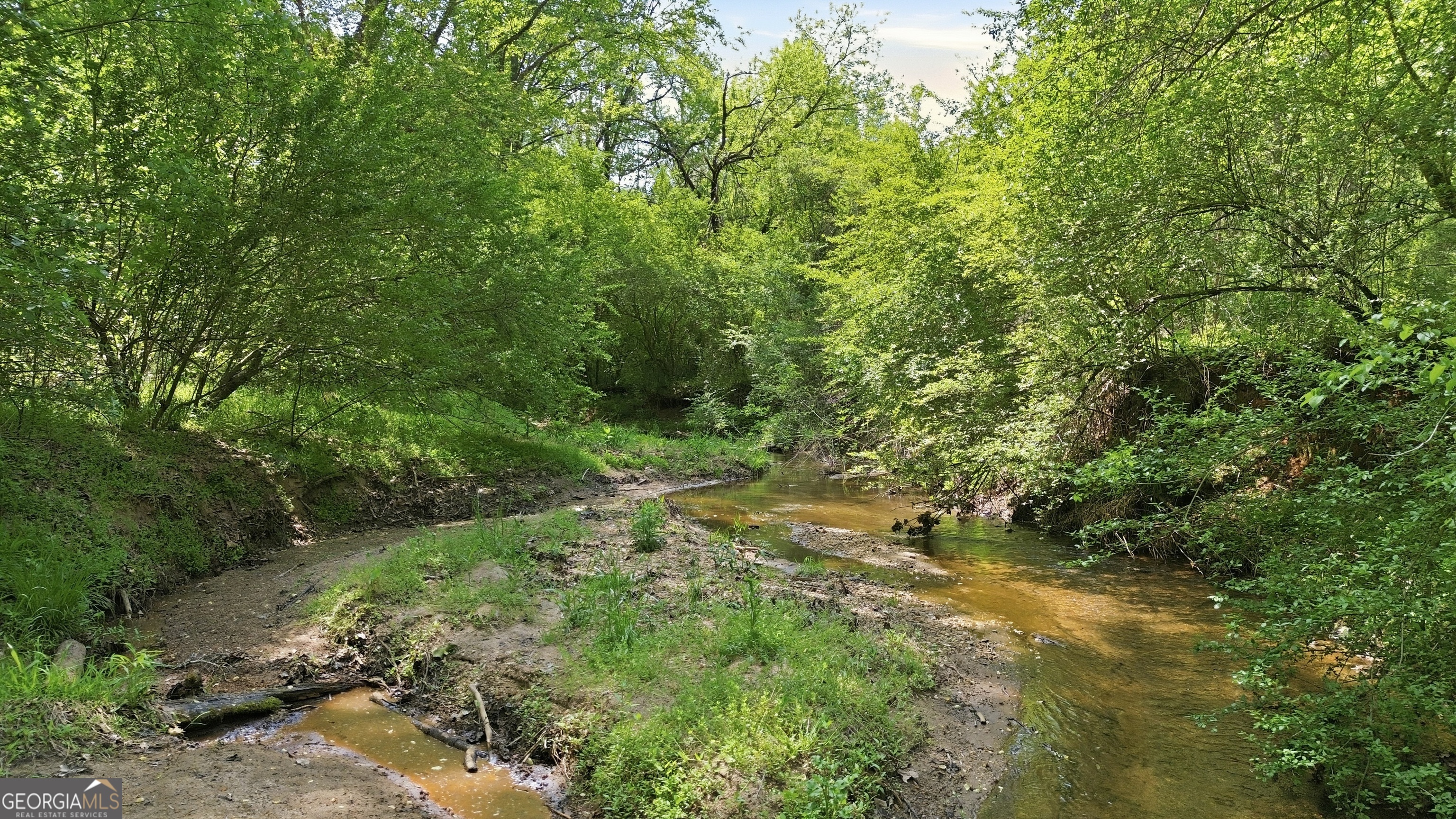 1601 Price Road Martin, GA 30557 - Photo 78 of 99