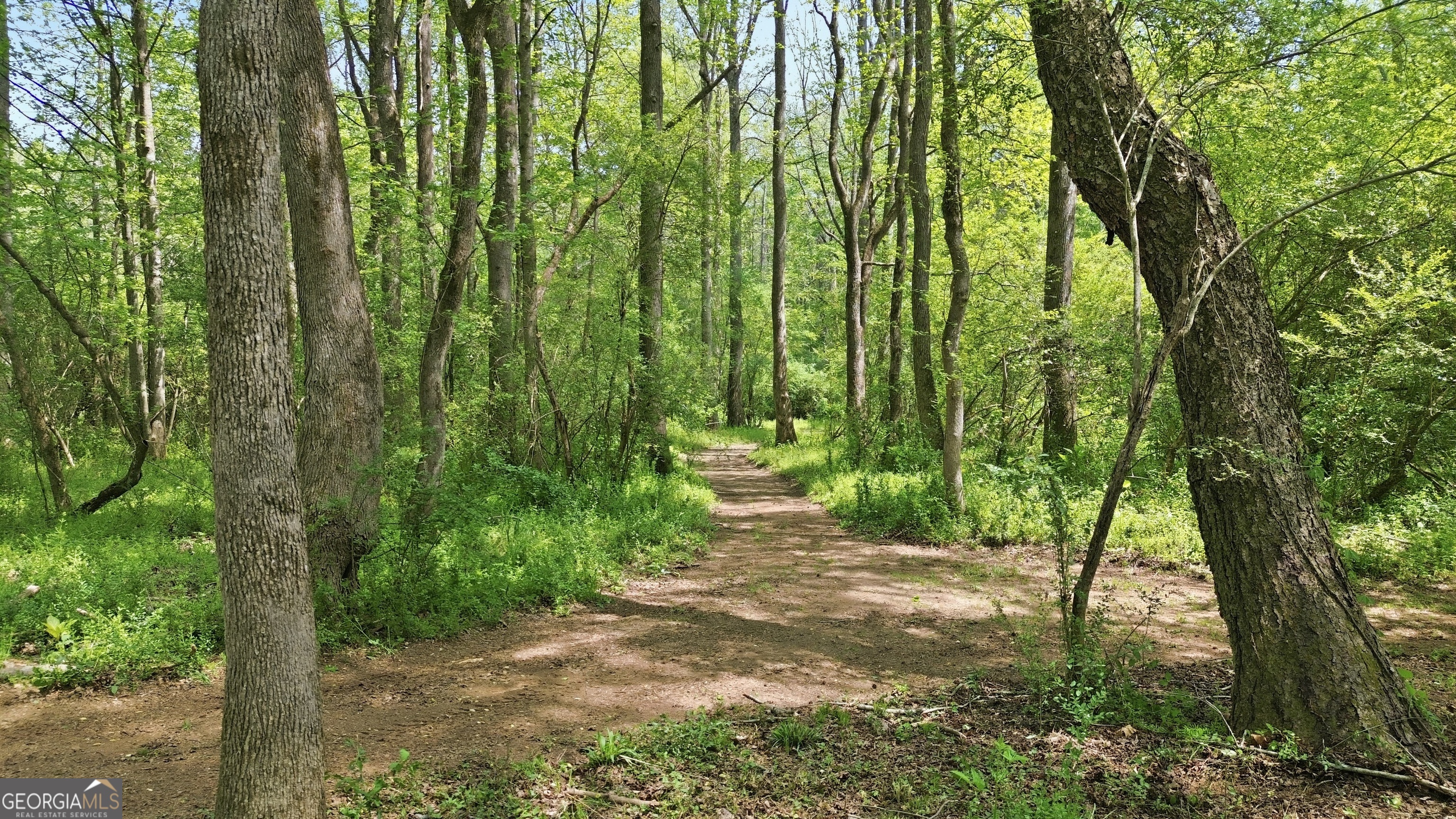 1601 Price Road Martin, GA 30557 - Photo 79 of 99