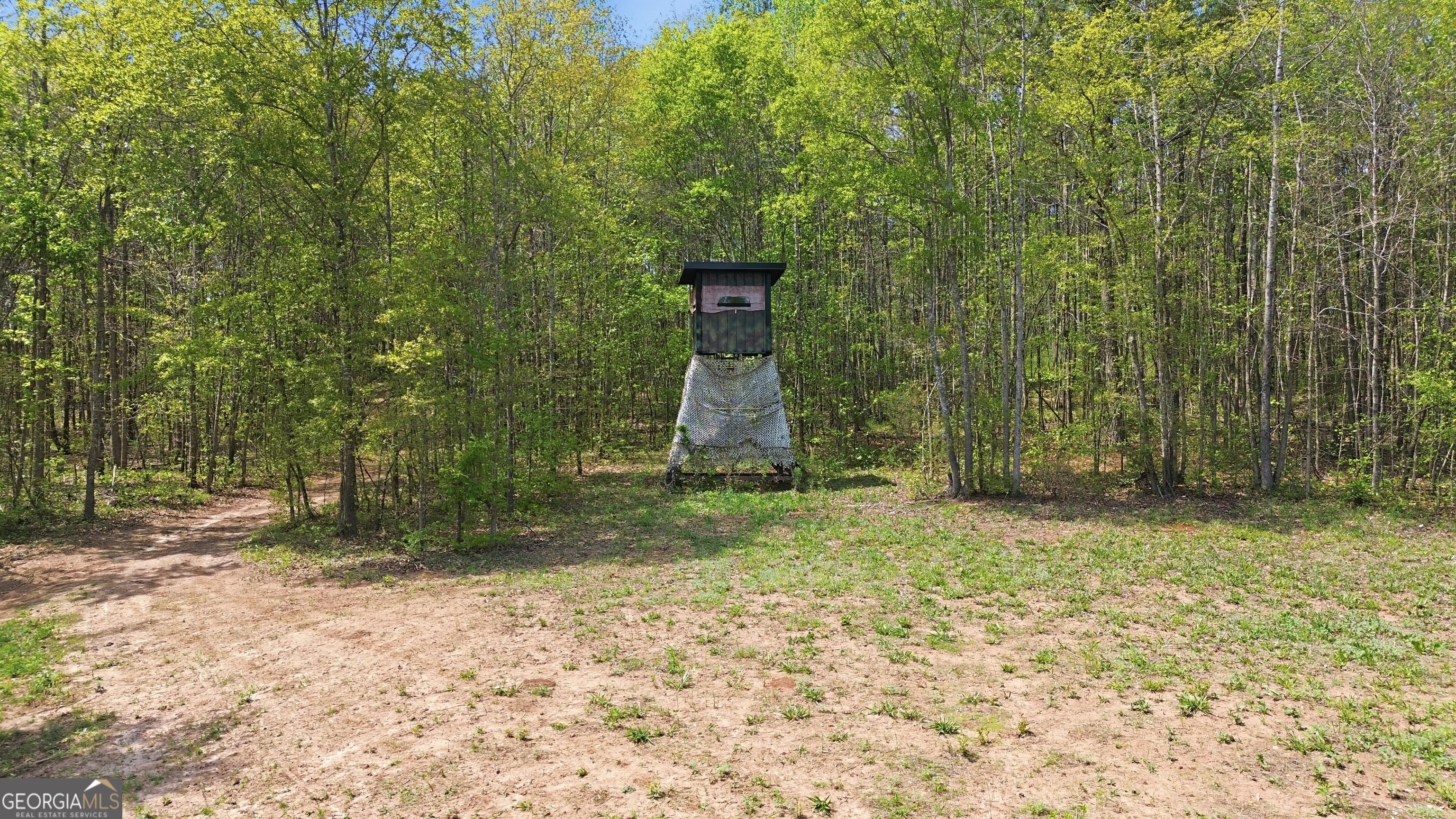 1601 Price Road Martin, GA 30557 - Photo 80 of 99