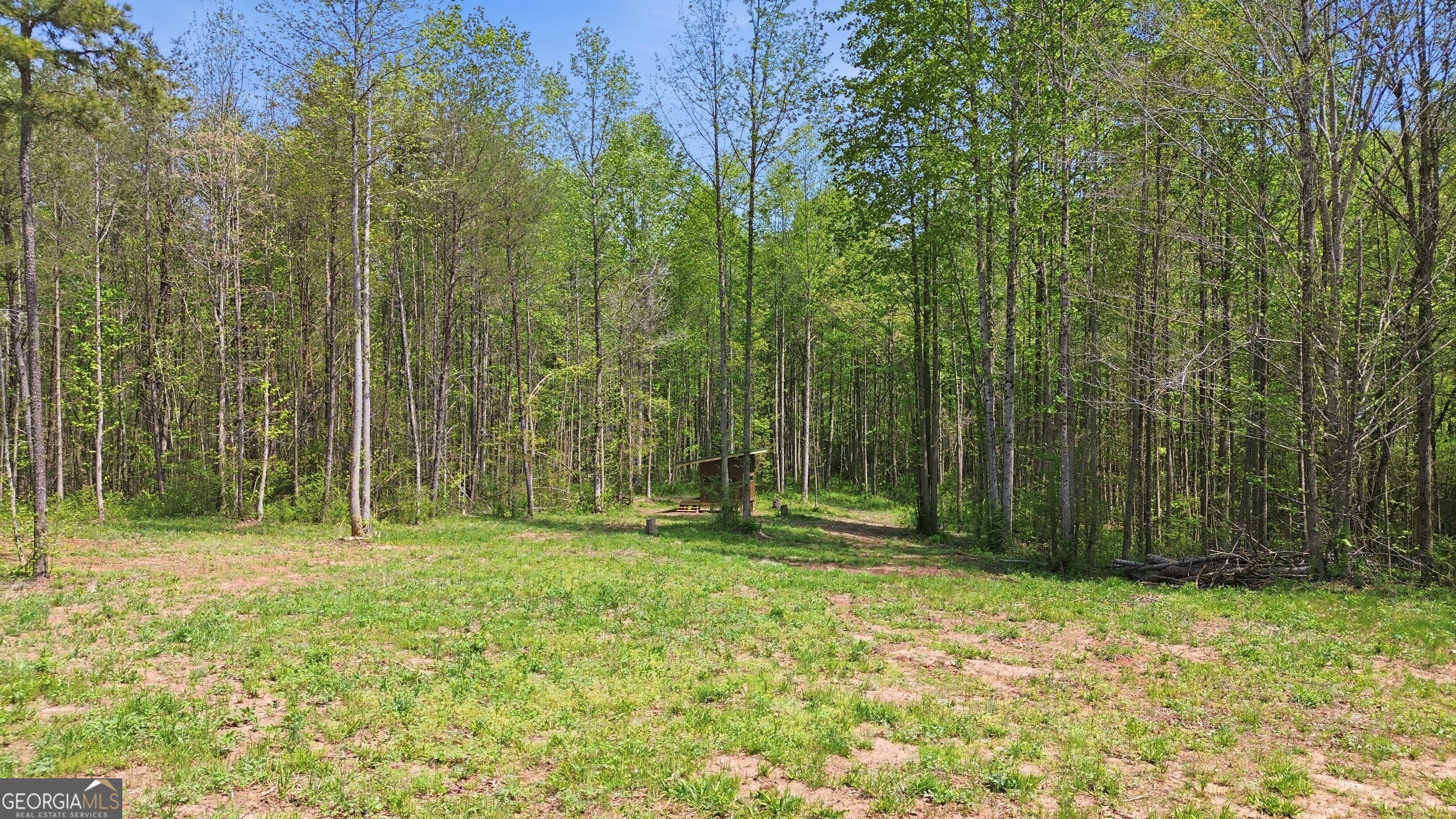 1601 Price Road Martin, GA 30557 - Photo 81 of 99