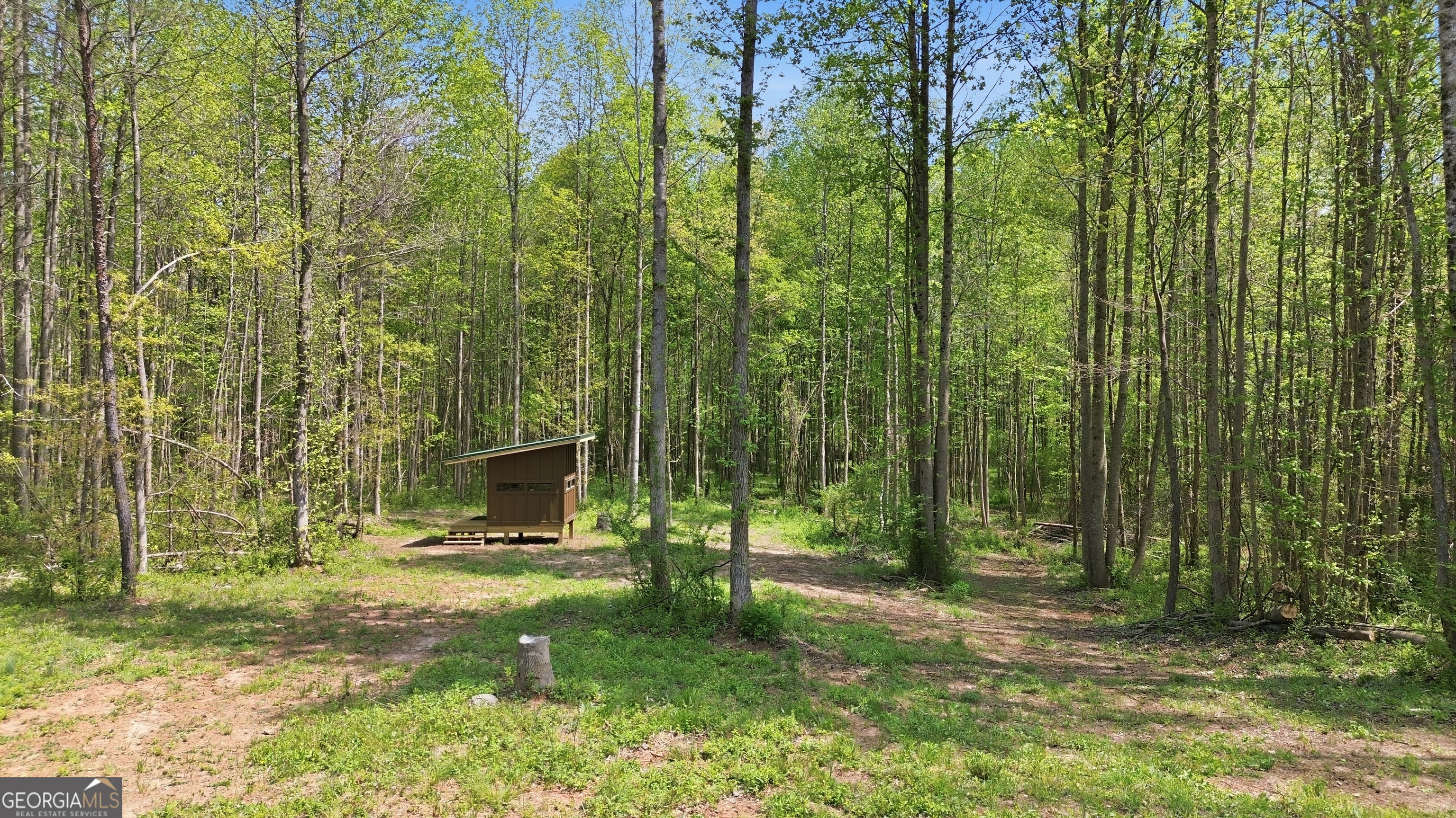 1601 Price Road Martin, GA 30557 - Photo 82 of 99