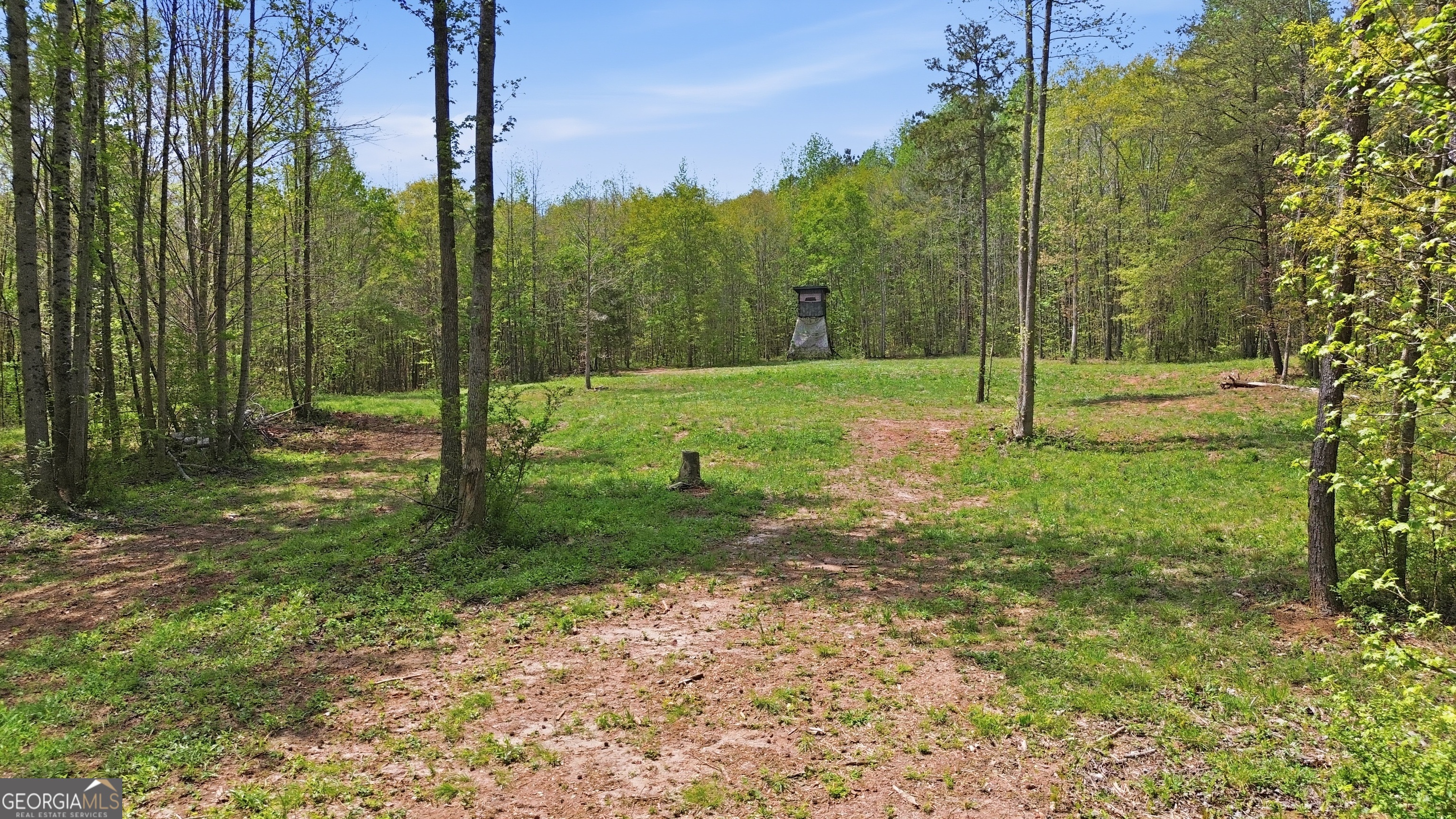 1601 Price Road Martin, GA 30557 - Photo 85 of 99