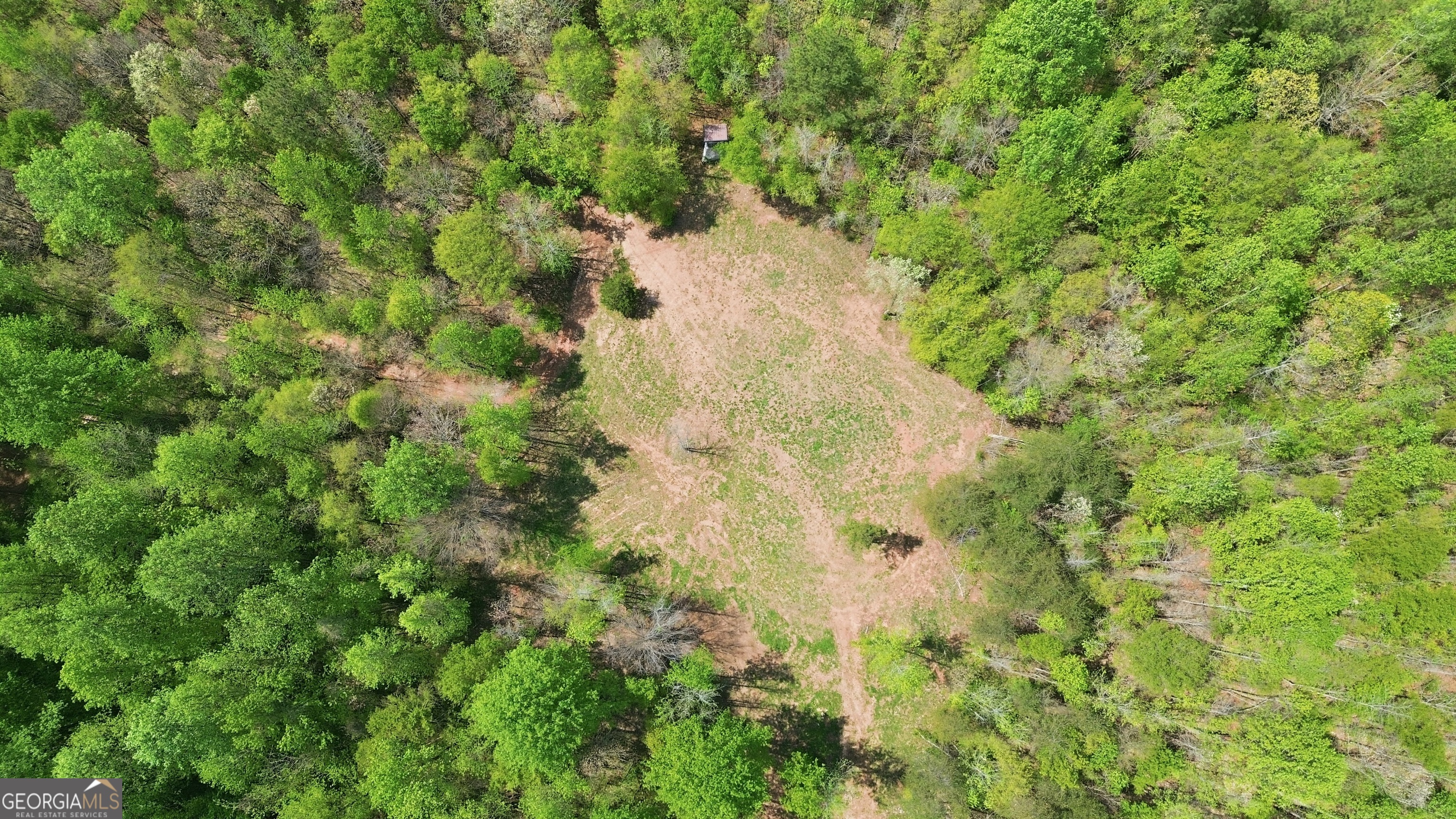 1601 Price Road Martin, GA 30557 - Photo 86 of 99