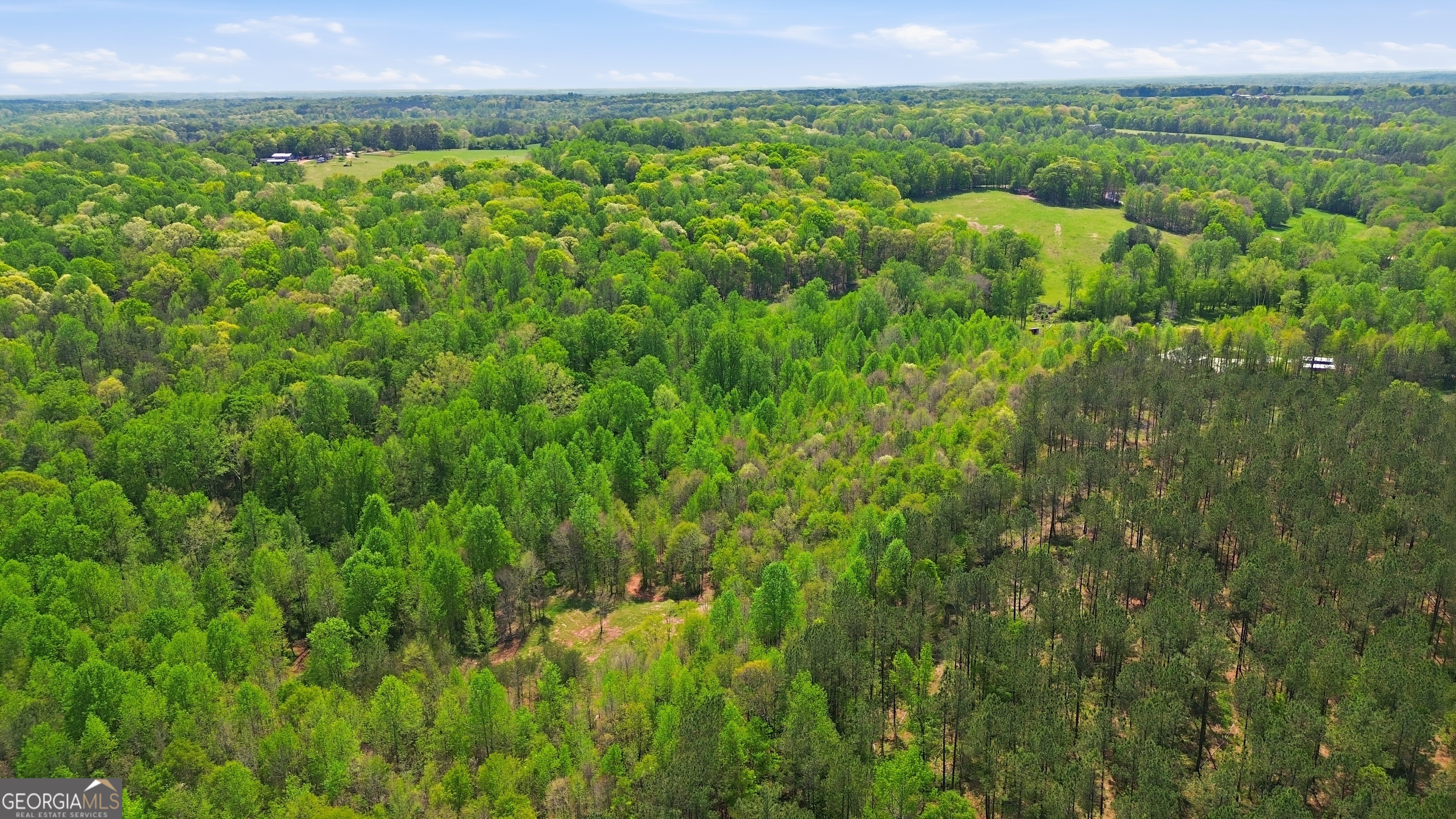 1601 Price Road Martin, GA 30557 - Photo 87 of 99