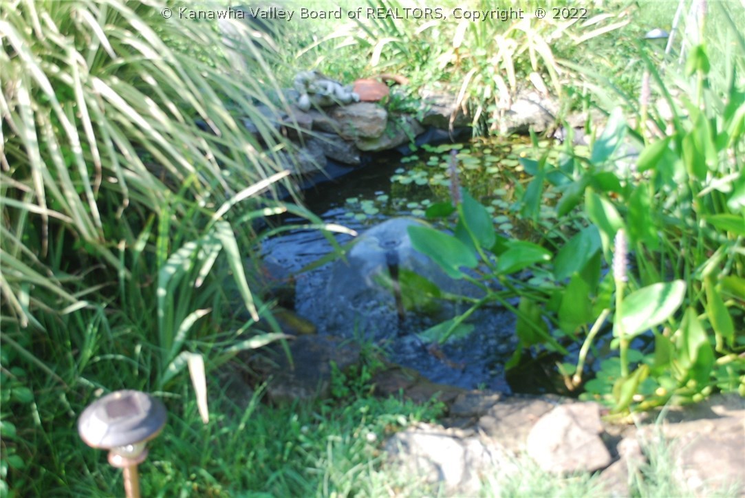 713 South Ritchie Avenue Ravenswood, WV 26164 - Photo 20 of 24 pond