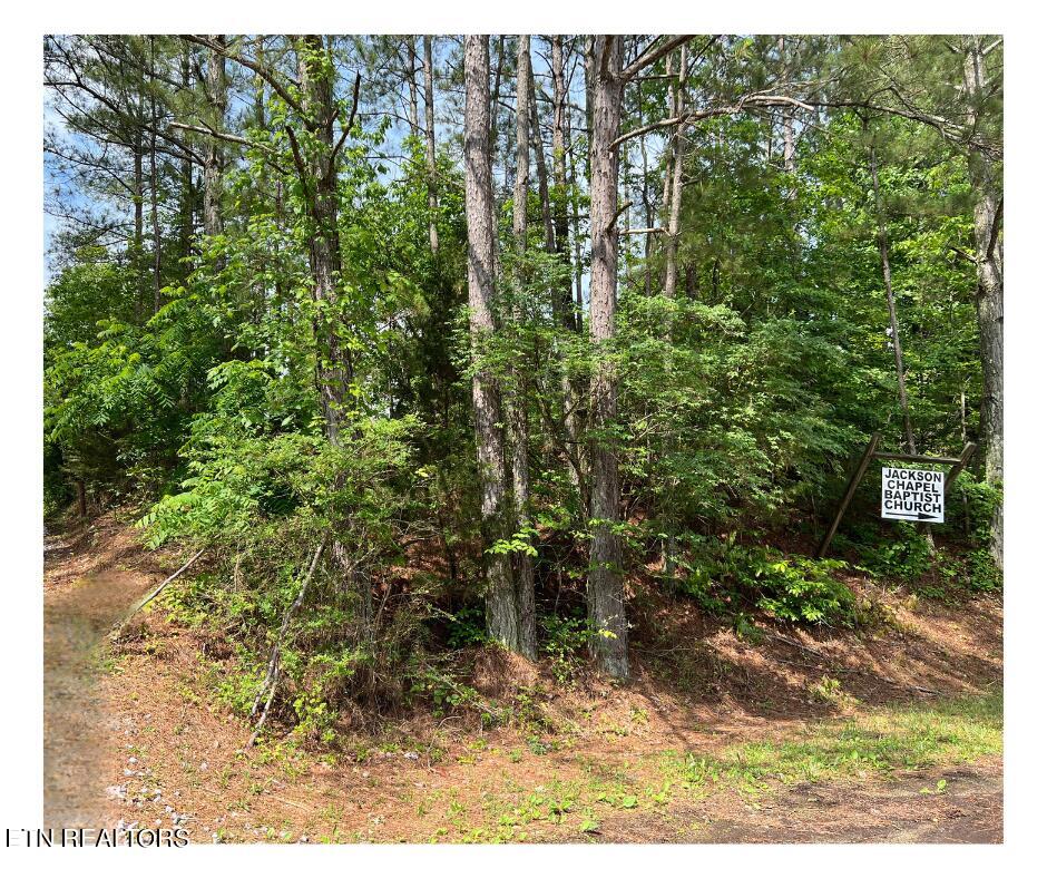 East Watkins Road East Loudon, TN 37774 - Photo 5 of 6 Untitled design (11)