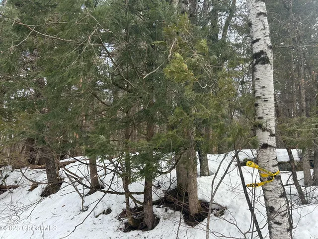 $175,000 | L22-24 Hogback Road, Crown Point, NY 12928