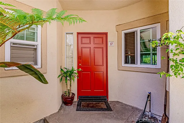 a potted plant sitting in front of a house