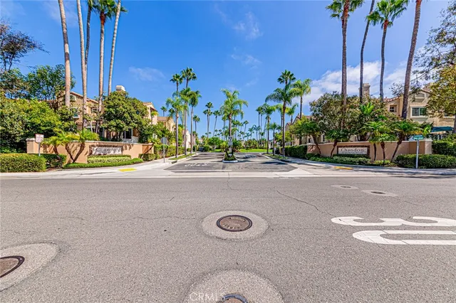 a view of a swimming pool with a garden