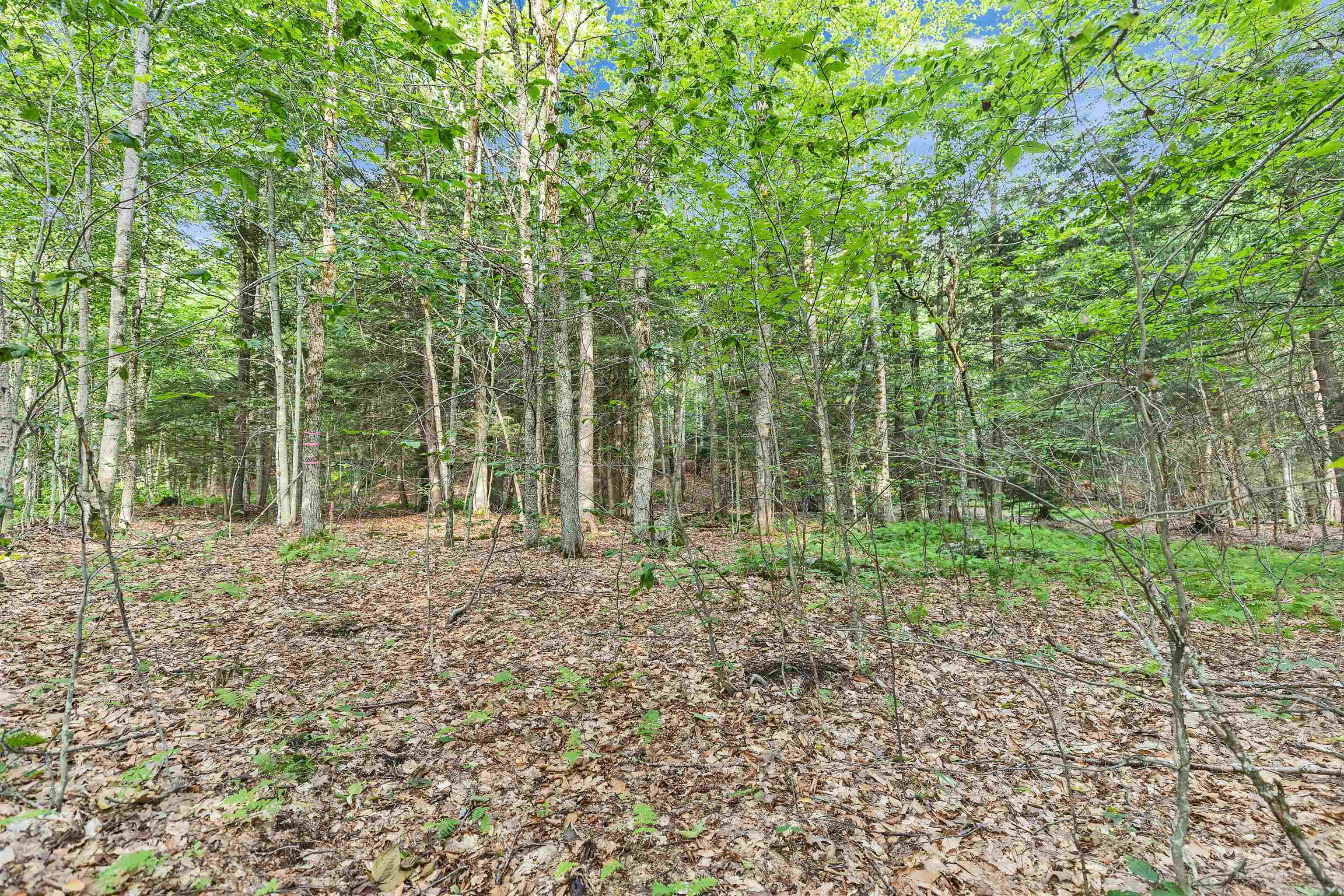 101 Gilsum Road, Unit 2 Sullivan, NH 03445 - Photo 8 of 19 Gallery Image 8