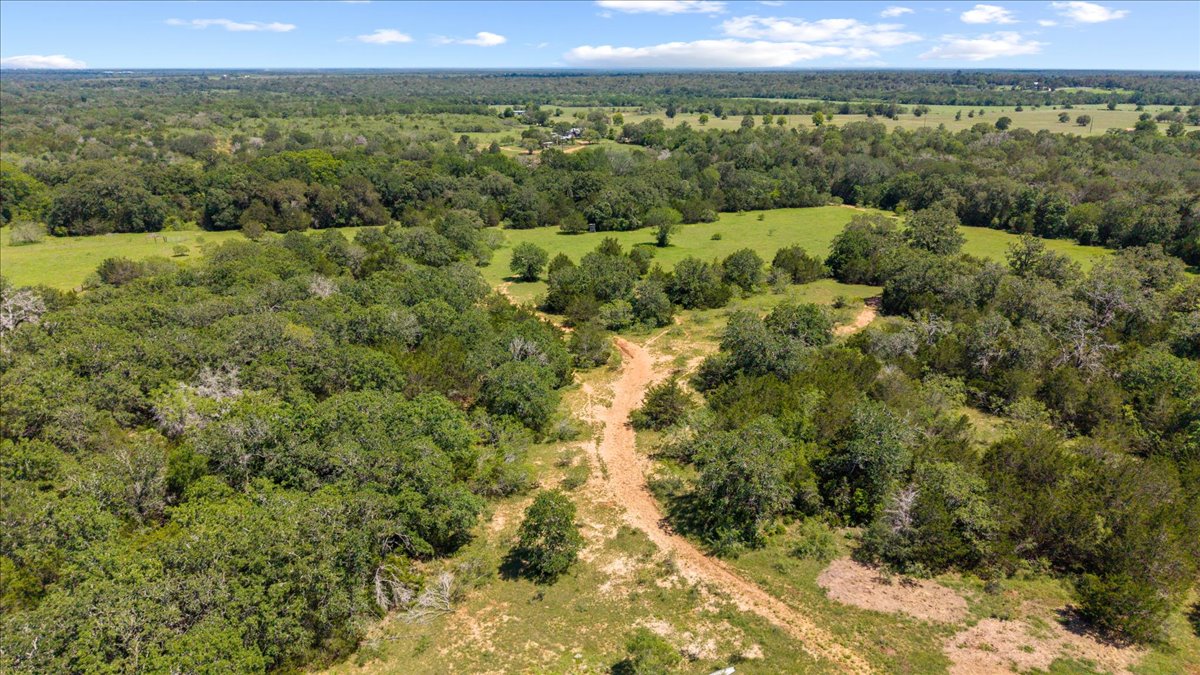 1648 Jeddo Road Rosanky, TX 78953 - Photo 17 of 19 a view of a city