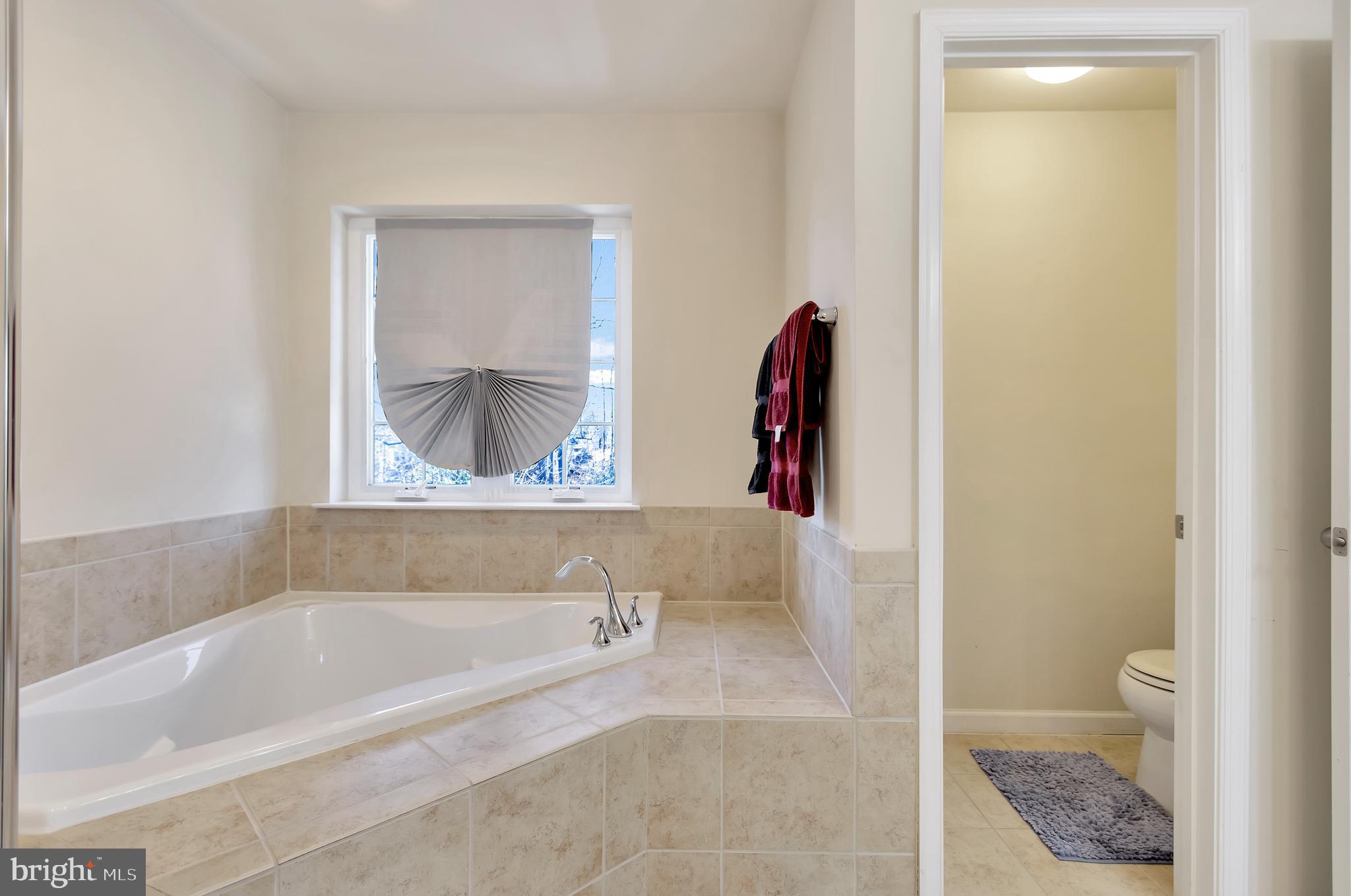 906 Horse Collar Road Accokeek, MD 20607 - Photo 35 of 67 HUGE SOAKING TUB