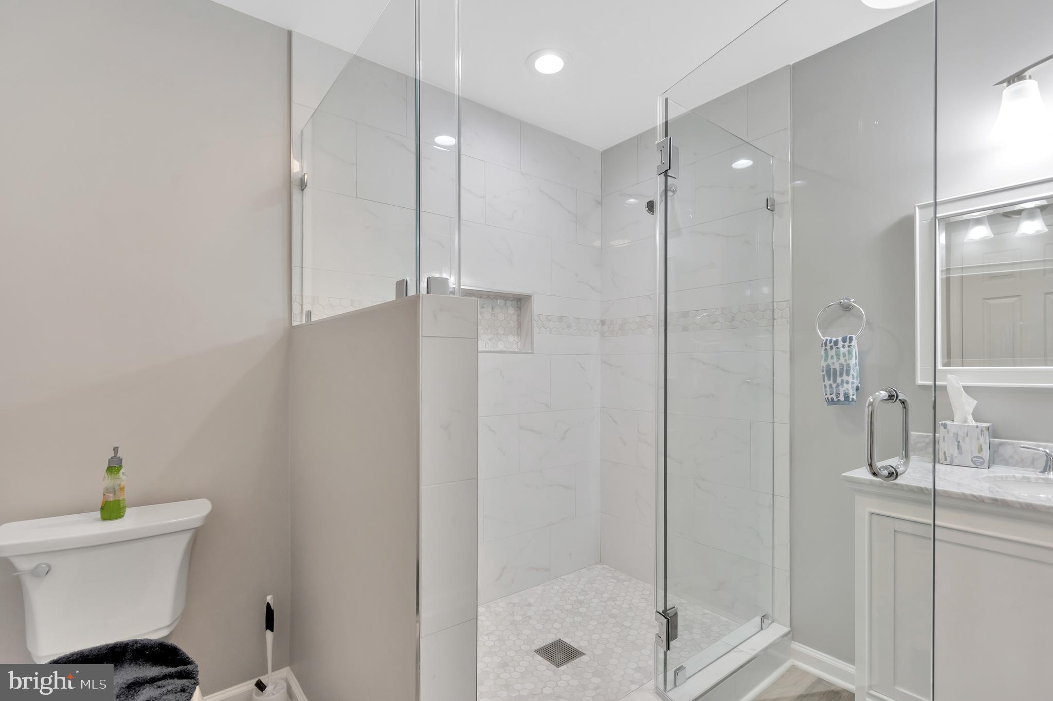 906 Horse Collar Road Accokeek, MD 20607 - Photo 62 of 67 ELEGANT DOWNSTAIRS SHOWER