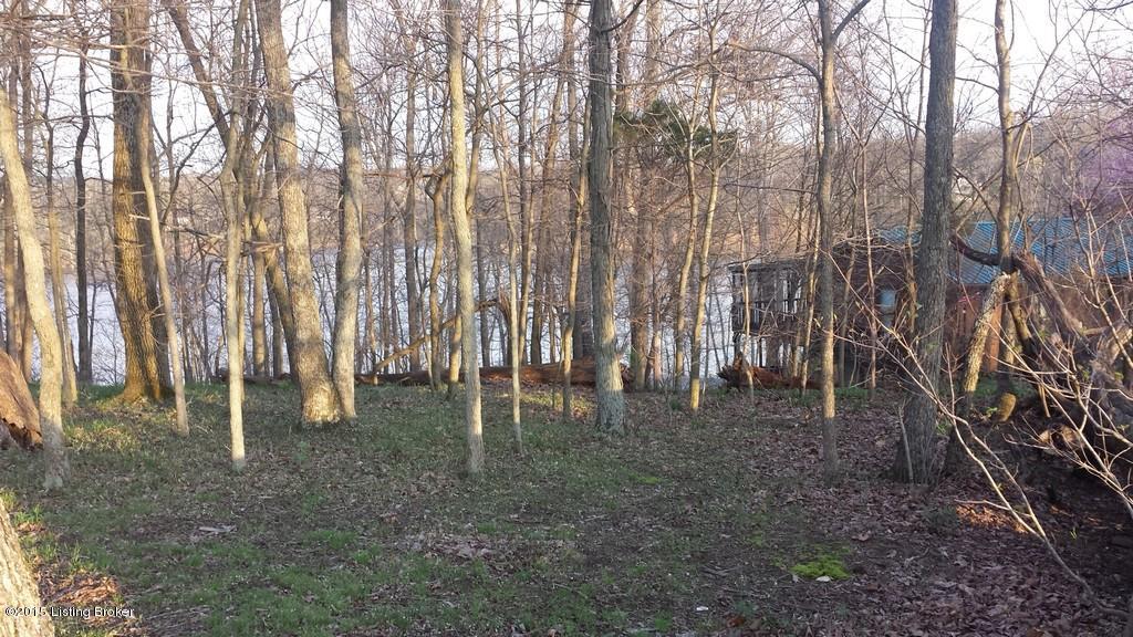 904 Spring Shores Lane Falls Of Rough, KY 40119 - Photo 3 of 10 67-3
