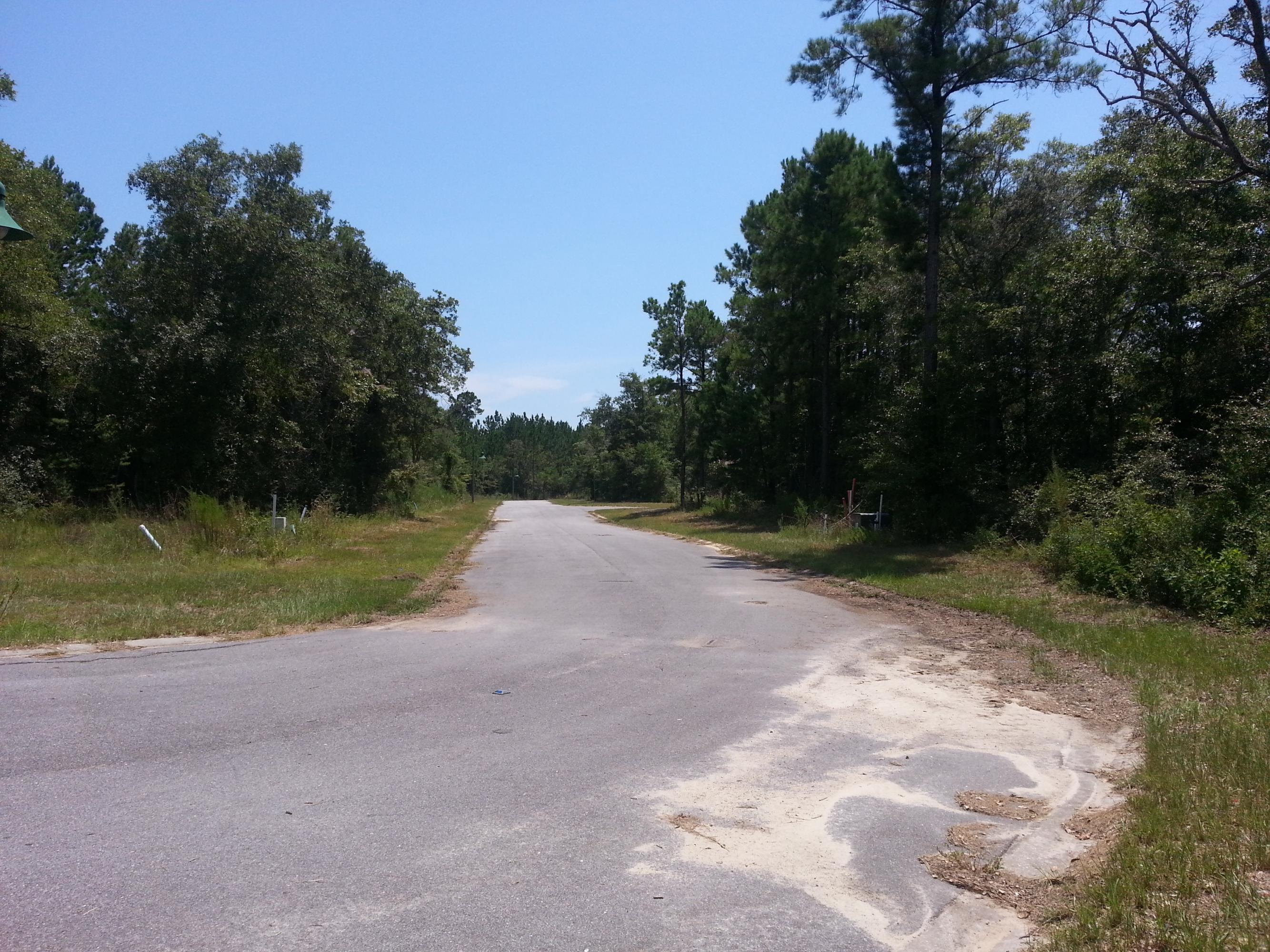 121 Caswell Branch Road Freeport, FL 32439 - Photo 2 of 5 Bradford Court (2)