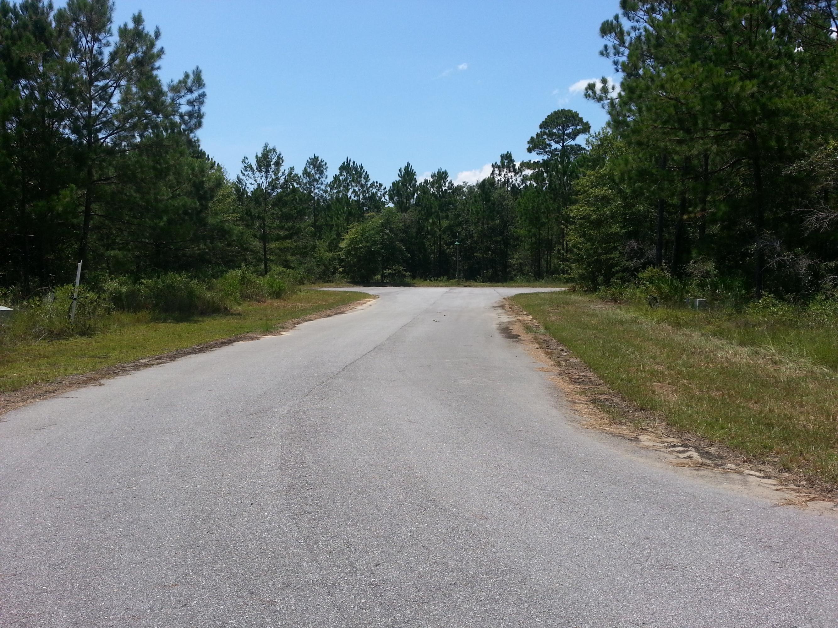 121 Caswell Branch Road Freeport, FL 32439 - Photo 3 of 5 Bradford Court