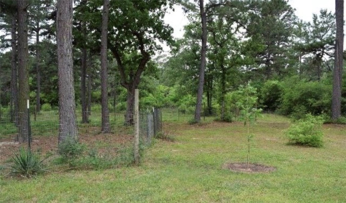 5325 County Road 2291 Centerville, TX 75833 - Photo 16 of 31 View of yard