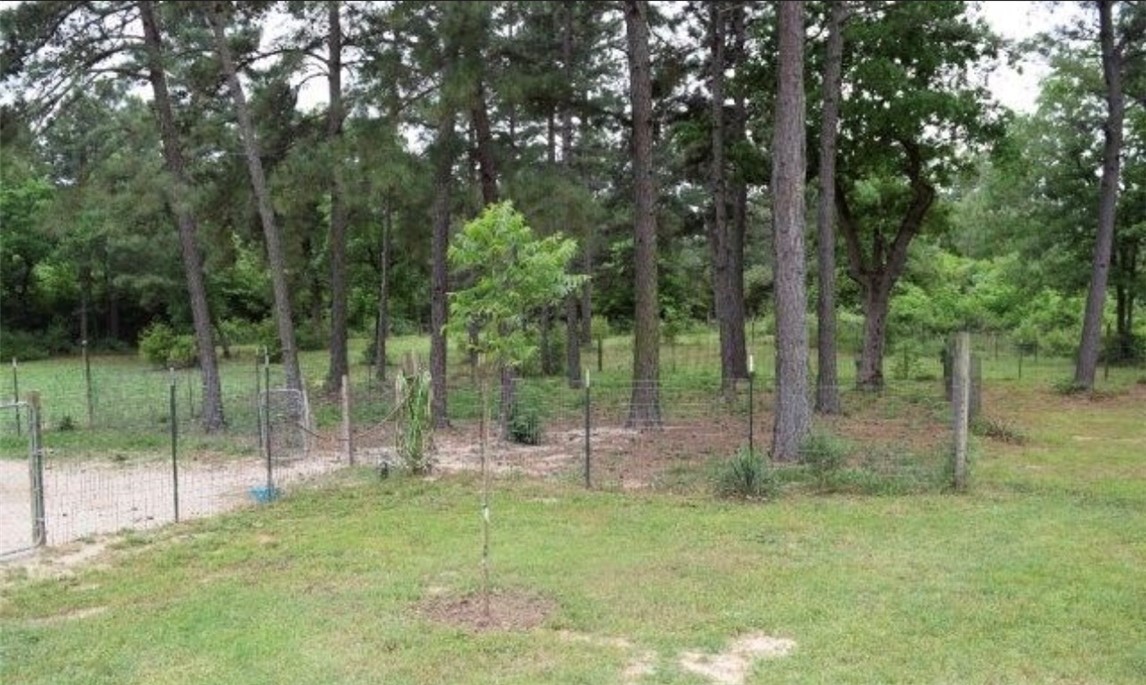 5325 County Road 2291 Centerville, TX 75833 - Photo 5 of 31 View of yard