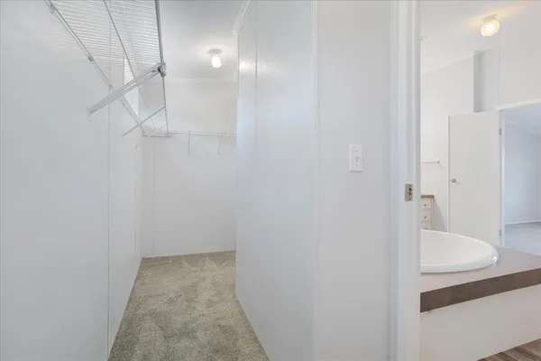 a bathroom with a shower and a sink