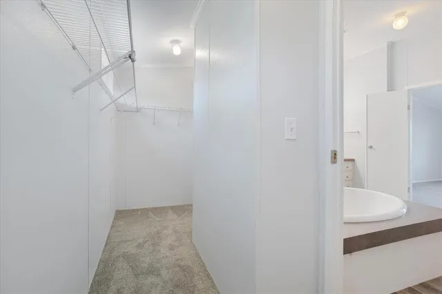 a bathroom with a shower and a sink