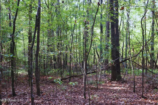 $57,000 | Mountain Road, McCool, MS 39108