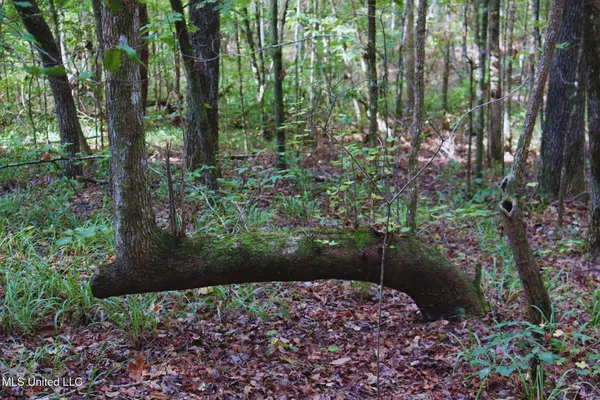 $57,000 | Mountain Road, McCool, MS 39108