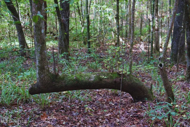 $57,000 | Mountain Road, McCool, MS 39108