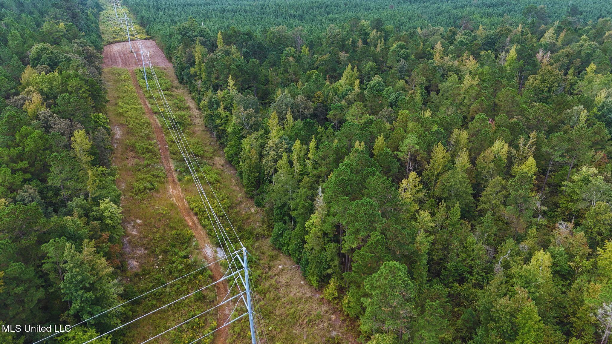 Mountain Road McCool, MS 39108 - Photo 3 of 13 photo 3