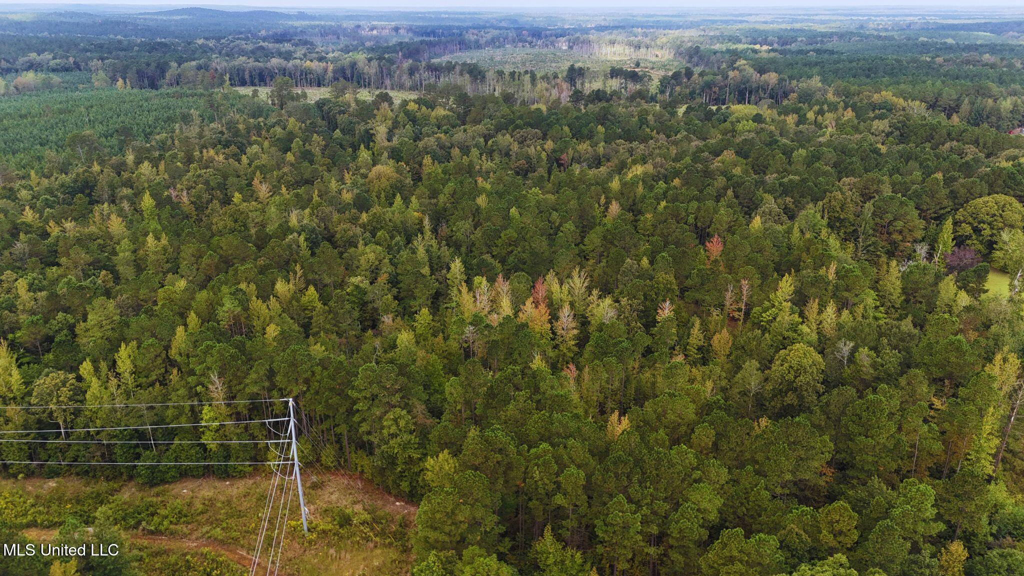 Mountain Road McCool, MS 39108 - Photo 5 of 13 photo 5