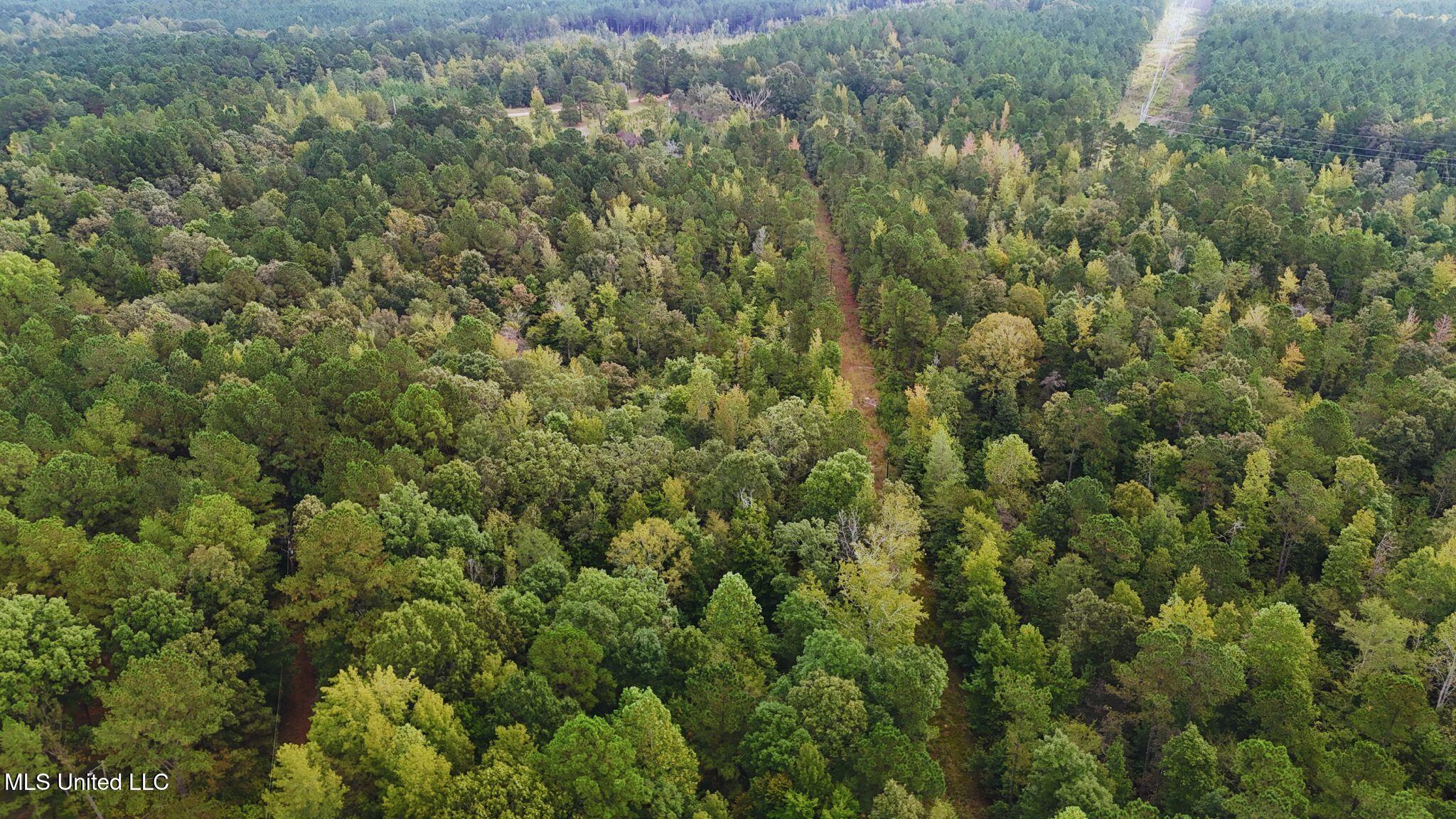 Mountain Road McCool, MS 39108 - Photo 6 of 13 photo 6